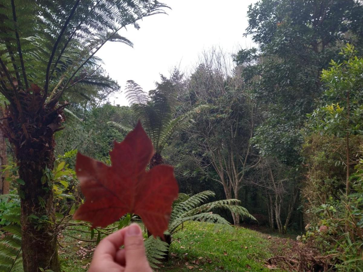 Pousada Estrela Da Serra Monte Verde  Exterior foto