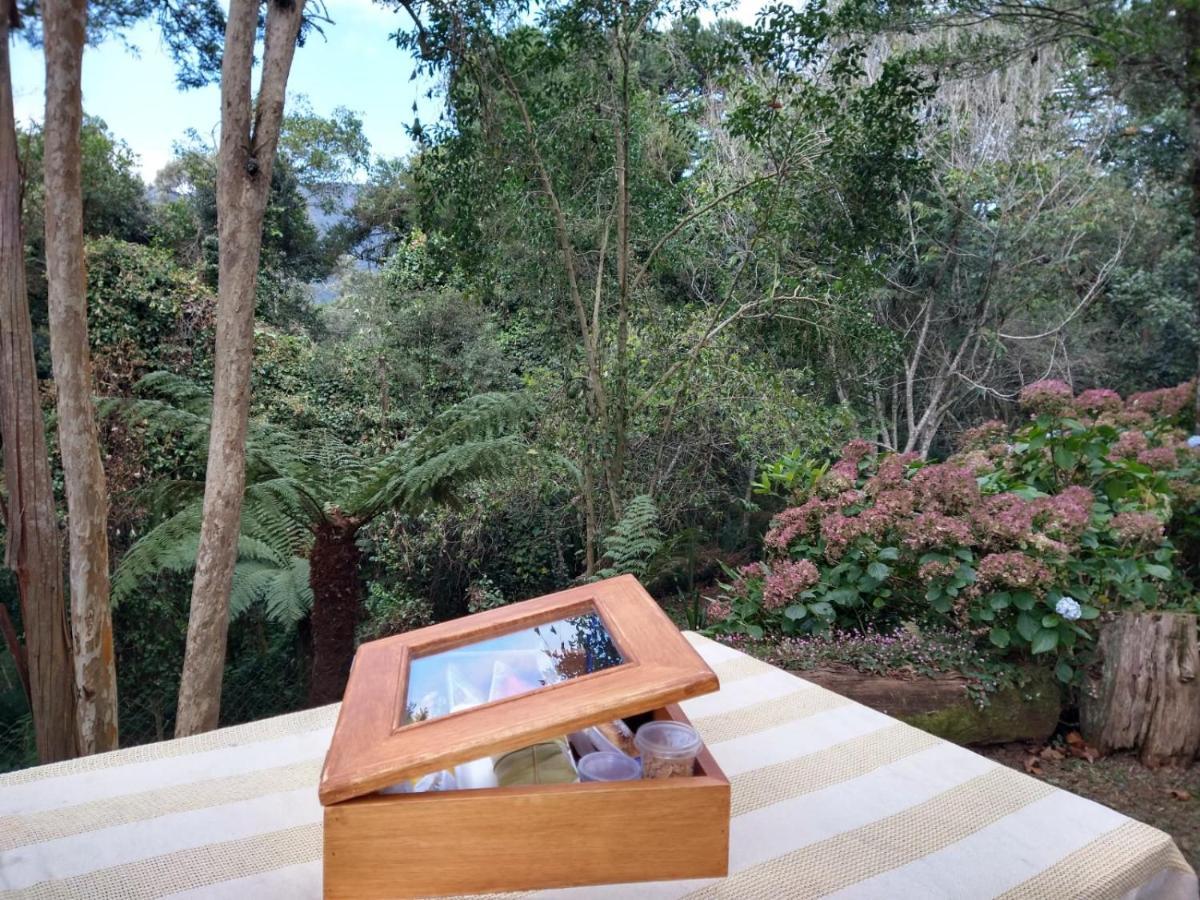 Pousada Estrela Da Serra Monte Verde  Exterior foto
